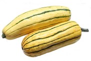 delicatasquash