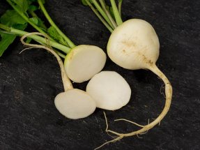Radish-Philadelphia-White-Box-RD121-DSC07620