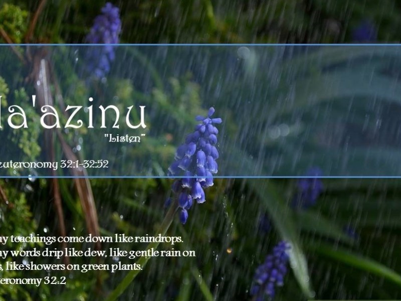 Parshat Ha’azinu: Is Everything in the Hands of&nbsp;Heaven?